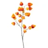 Physalis spray oranje 90cm