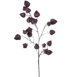 Physalis spray paars 90cm