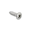 Plaatschroef zelftappend lenskop RVS 4,2x25 mm 15 stuks