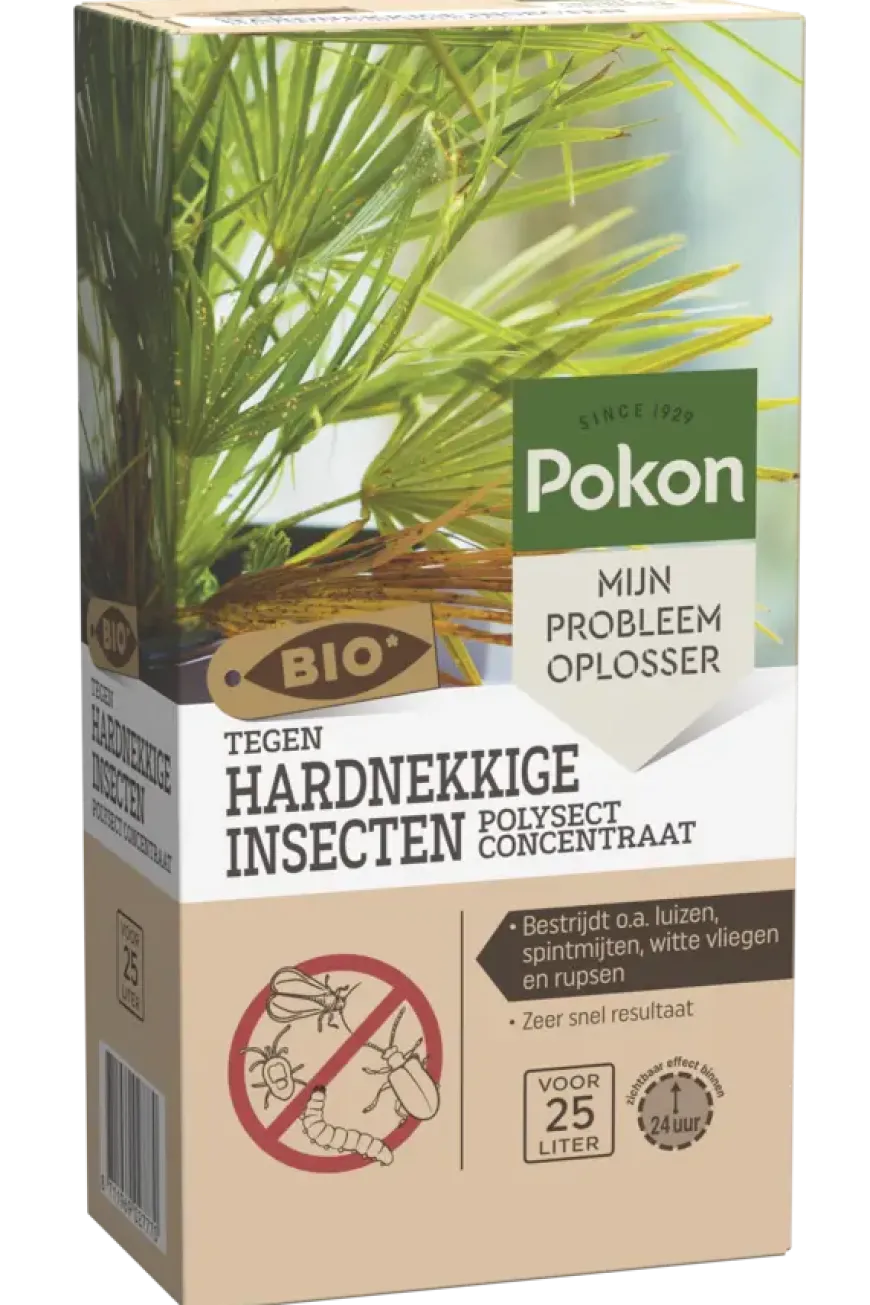 Pokon Bio tegen hardnekkige insecten polysect concentraat 175 ml