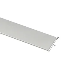 Profiel plat aluminium zilver 30x2x2000mm