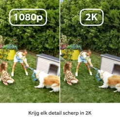 Elektronische Beveiliging > Ring Outdoor Camera Plus Battery Wit 2K