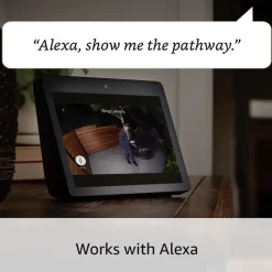 Elektronische Beveiliging > Ring Spotlight Camera Plus Plug-in Zwart