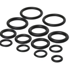 Sanivesk O-Ringen Assortiment 12 stuks