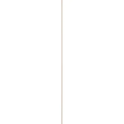 Houtenprofielen > Geen Schilderijlijst grenen 9x21 mm lengte 270 cm