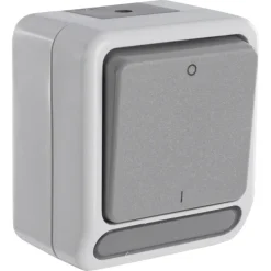 Schakelaars > Schneider Electric Aquastar spatwaterdicht schakelaar 2-polig