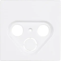Inbouw Schakelmateriaal|Opbouw Schakelmateriaal > Schneider Electric Schneider Merten D-Life Centraalplaat Radio/TV wit