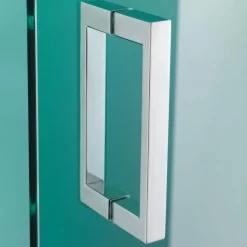 Sealskin Swingdeur voor Hoekinstap I AM 200x100 cm Chroom
