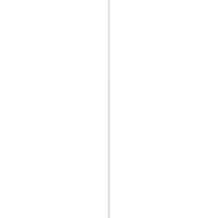 Kunststofprofielen|Overgangsprofielen > Geen Slijtstrip kunststof RVS look zelfklevend 2,5x28mm 260cm