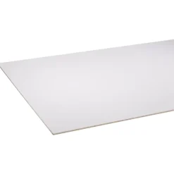 Constructieplaten|Alle Houten Platen > Storemax deurplaat frigo wit 255 x 101,5 cm 8 mm