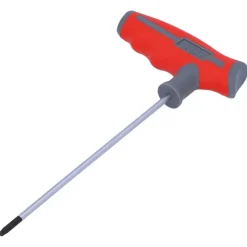 Sleutels- En Doppensets > Suki inbussleutel T15