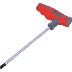 Sleutels- En Doppensets > Suki inbussleutel T30