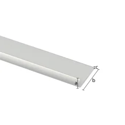 Tafelrand aluminium mat zilver 25x1000x1,5mm