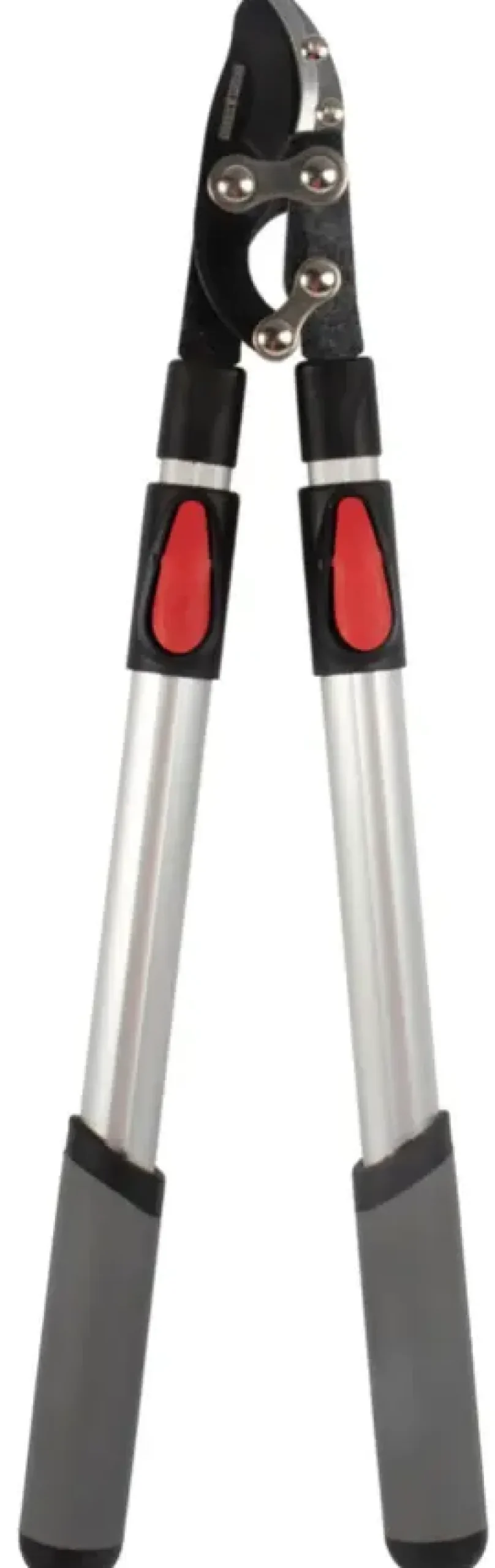 Snoeigereedschap > Talen Tools Takkenschaar Telesc.Premium 66-99 Cm