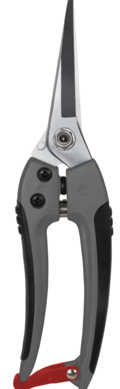 Snoeigereedschap > Talen Tools bloemenschaar
