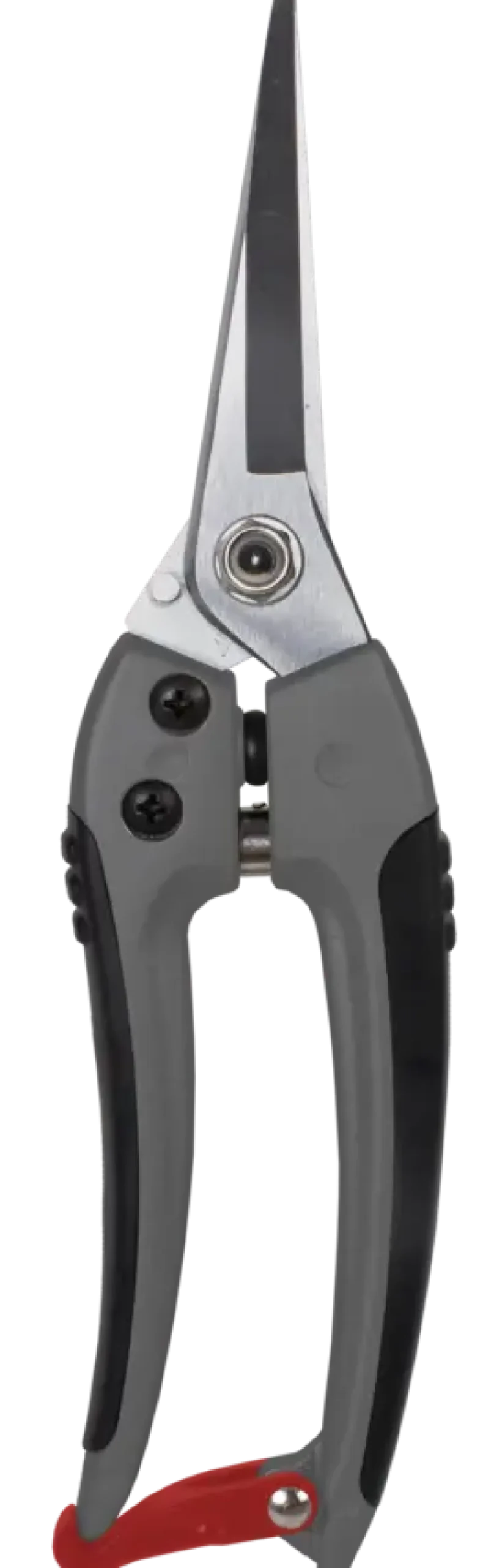 Snoeigereedschap > Talen Tools bloemenschaar
