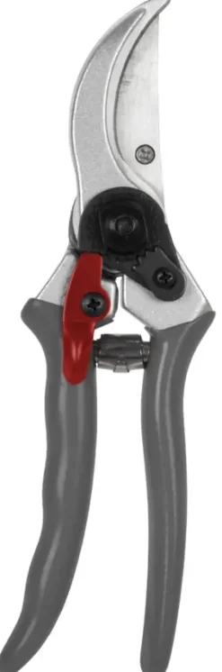 Snoeigereedschap > Talen Tools snoeischaar