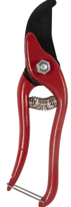 Snoeigereedschap > Talen Tools snoeischaar budget