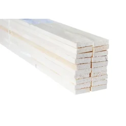 Vuren Ruw > TPA Voordeelpak ruw vuren 10x38 mm 270 cm 20 stuks