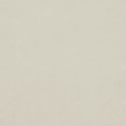 PVC Wandtegels & Panelen|Wandpanelen > Geen Wandtegel kunststof Allora 30,5x61 cm beige, dikte 5mm 1,116 m²