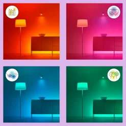 Dimmers|Smart Schakelmateriaal > WiZ Remote Control GenII EU